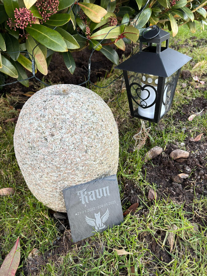 Gravstein/minnestein til kjæledyr