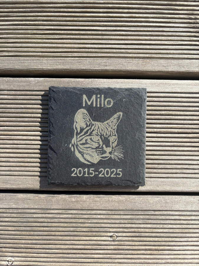 Gravstein/minnestein til kjæledyr